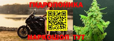 прущие крисы Тверь