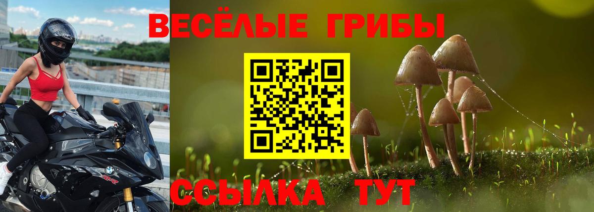 Псилоцибиновые грибы мухоморы Мыски